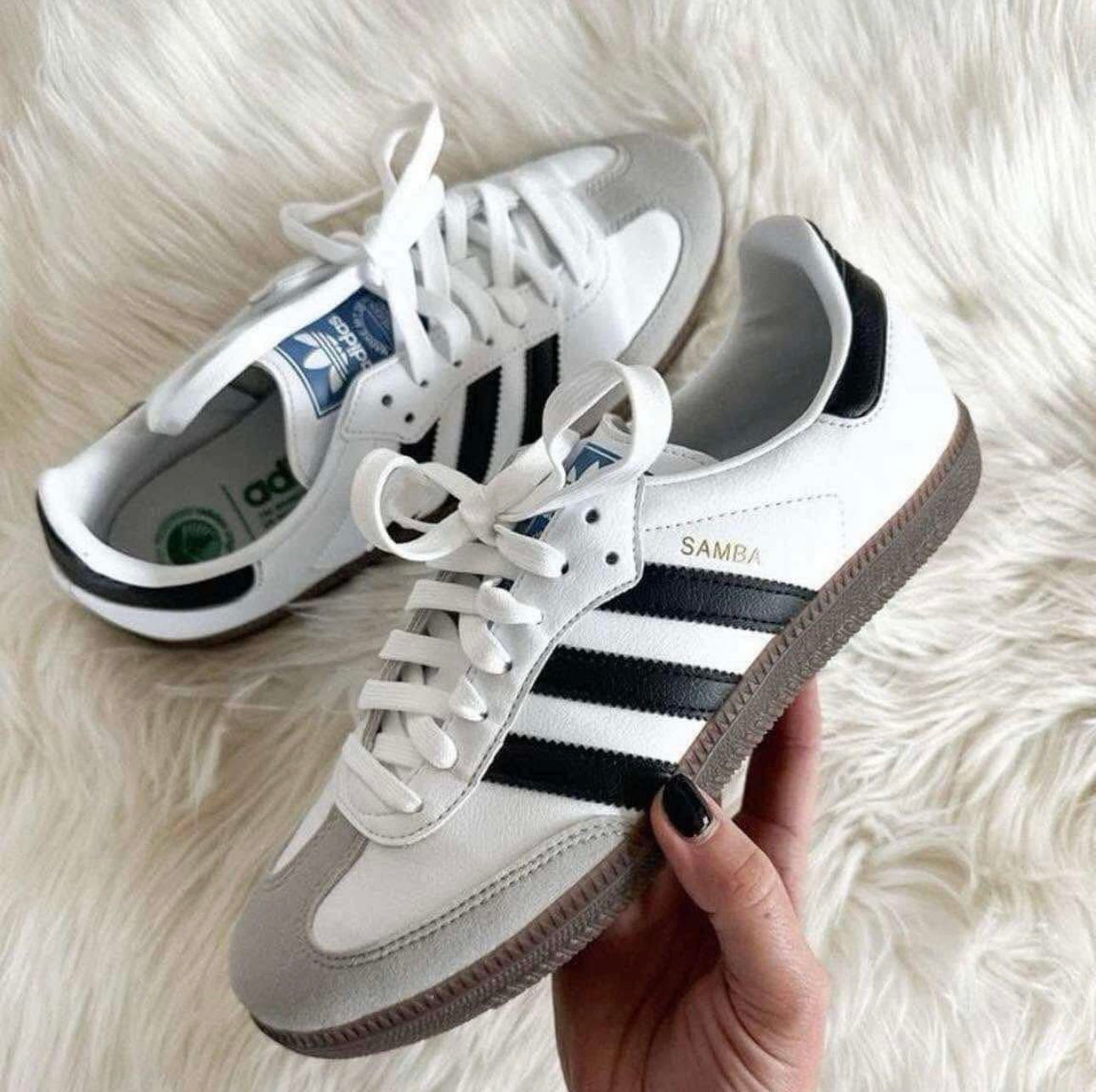 SAMBA BRANCO PRETO