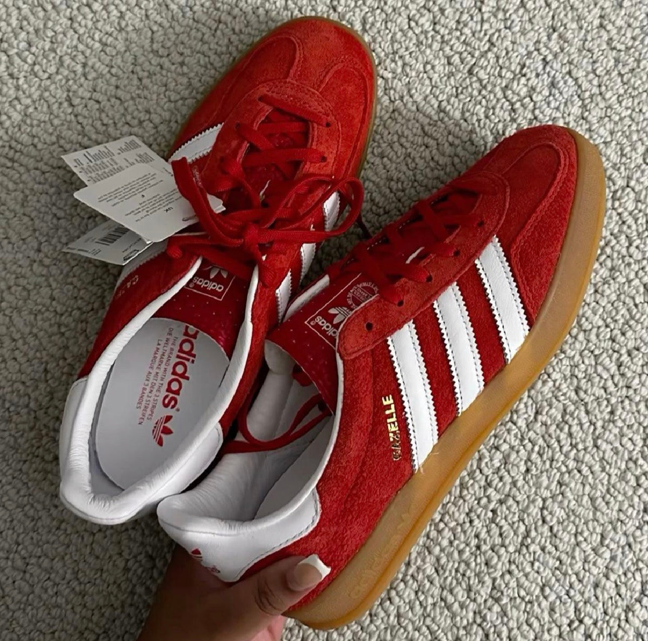 GAZELLE INDOOR VERMELHO