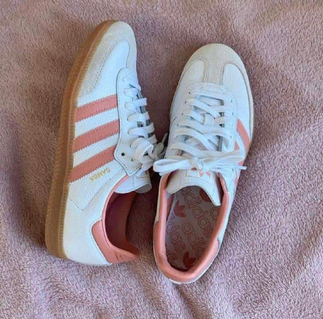 SAMBA BRANCO SALMÃO