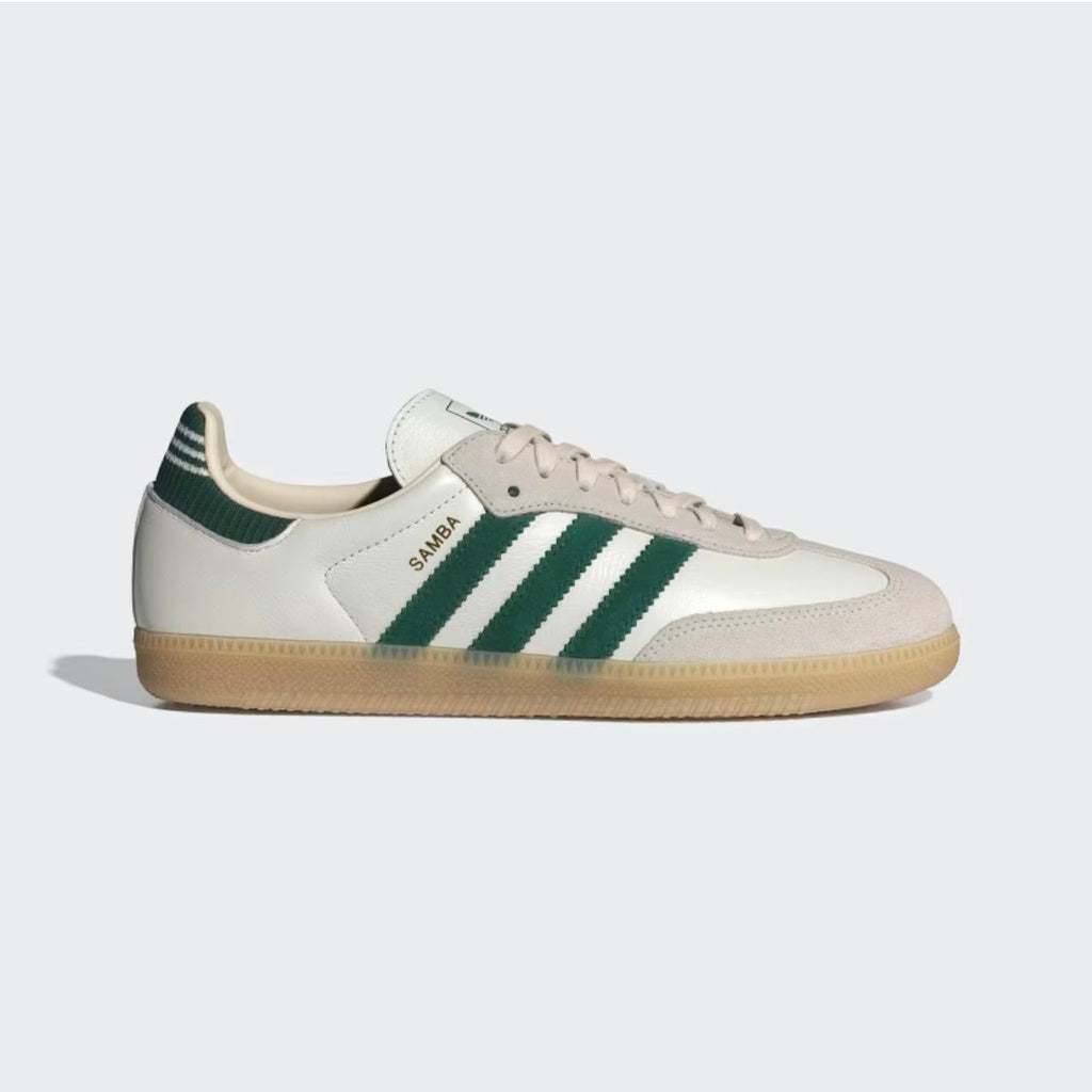 SAMBA BEGE VERDE NV